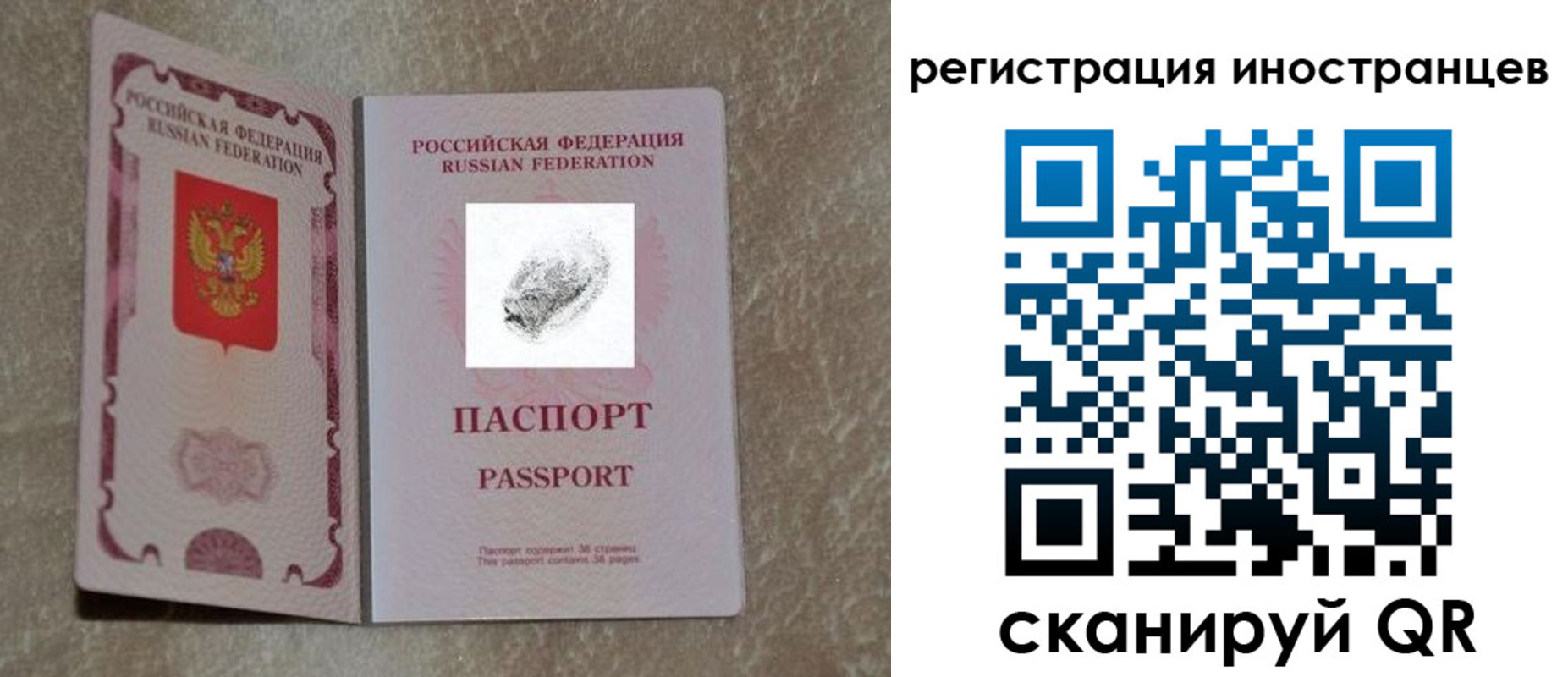 прописка законно в Брянске